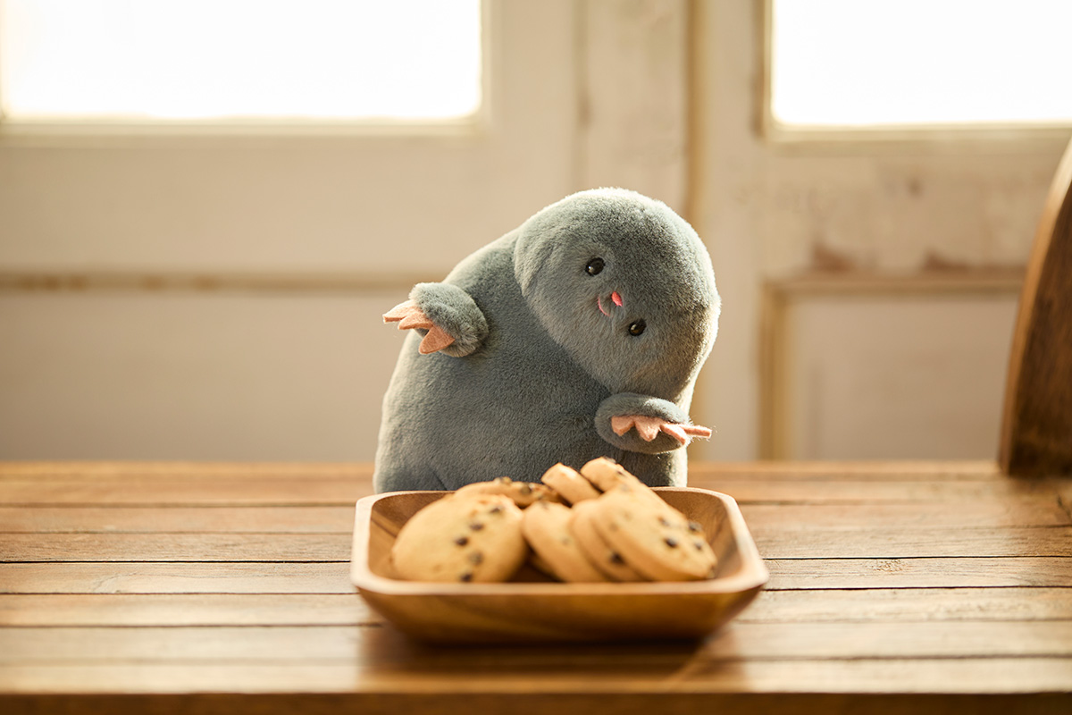 ちらりズ もぐち 写真