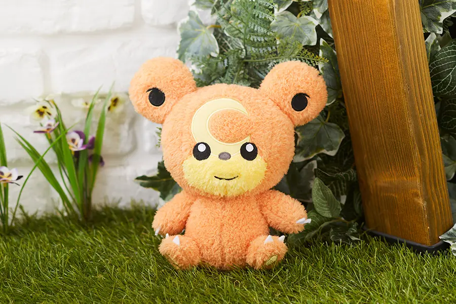 ポケモン もこっもこぷち 写真1 ヒメグマ