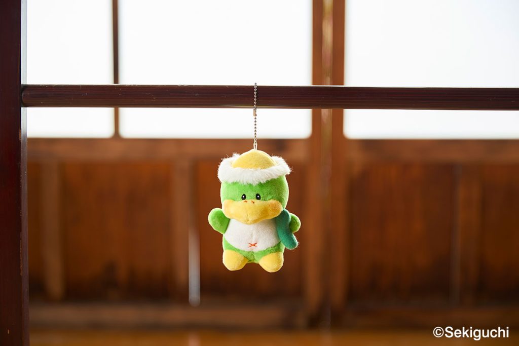 セキグチ】カッパのキューキュー | ぬいぐるみのセキグチ